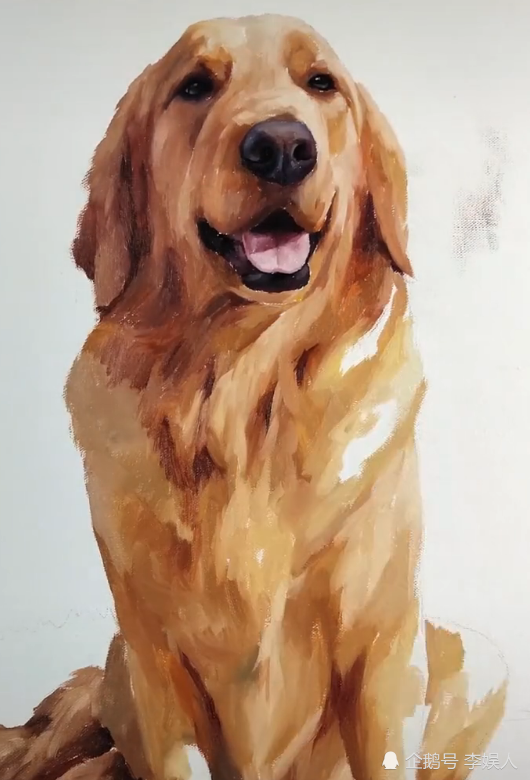 美术生画金毛 以为是随便画画 看到成品 为什么把小七放纸上 看点快报