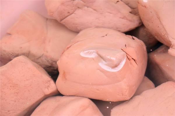 After Eating Pig Blood And Excreting Black Stool Is The Body Detoxifying What Does Continuous Black Stool Imply Daydaynews