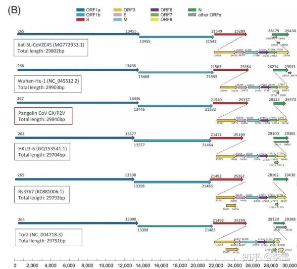 钟南山为什么说病毒源头不一定在中国？