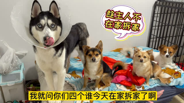 0?fmt=jpg&size=50&h=360&w=640&ppv=1