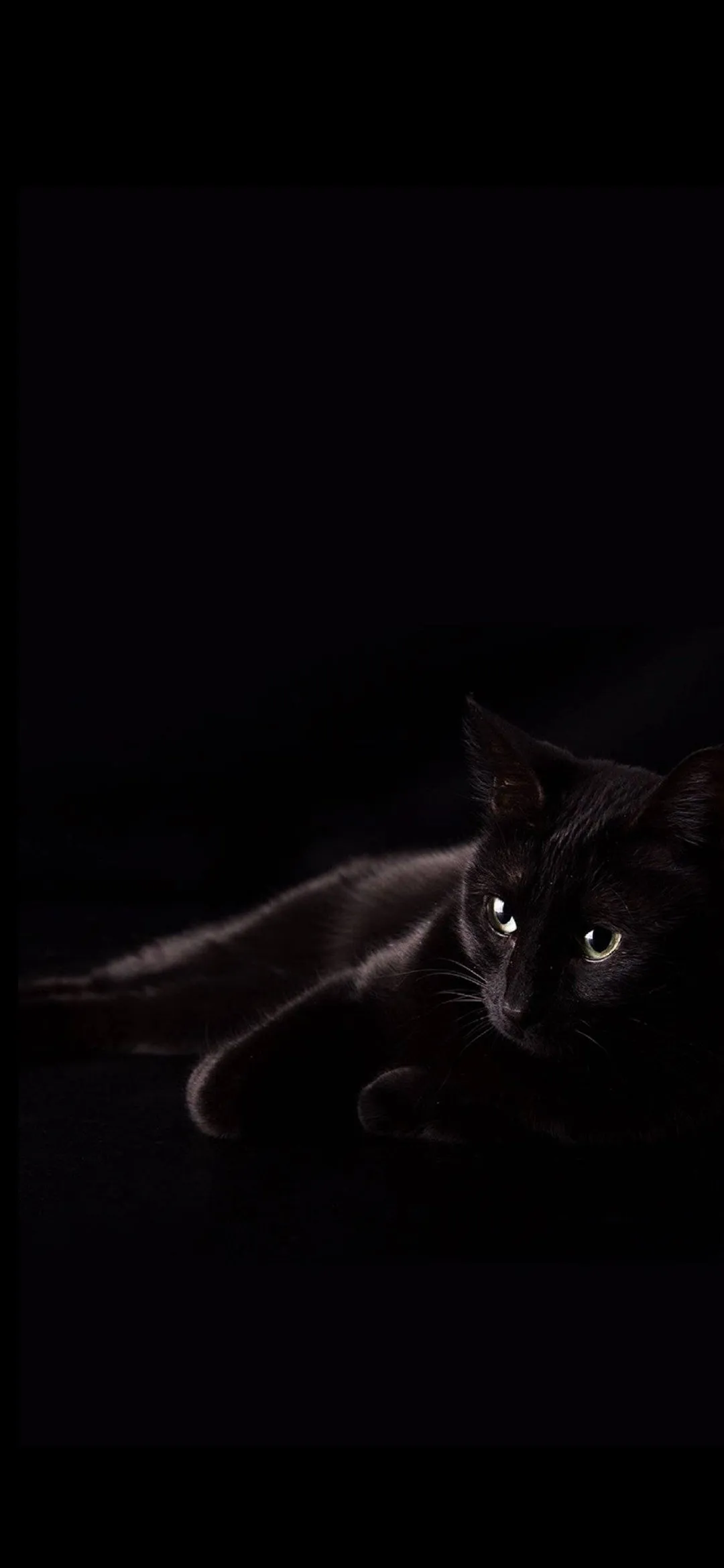 暗黑微信,用黑色聊天背景壁纸,黑的发亮!