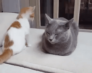 再看要等一年?别信!