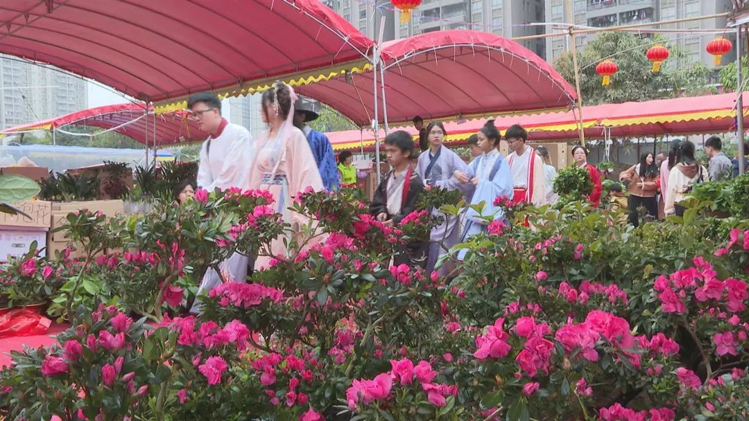 迎春花市 花 样百出喜迎新年 看点快报