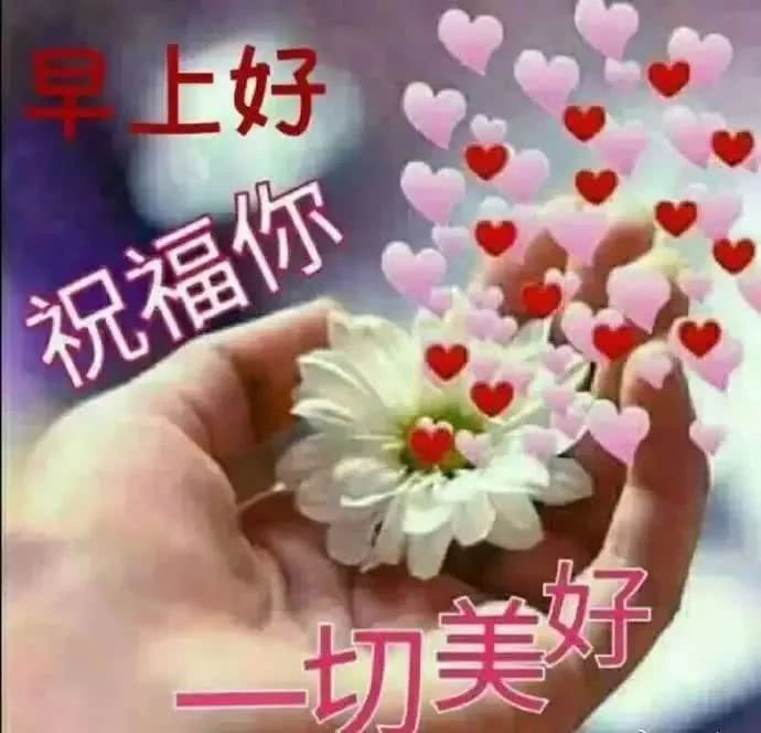 超漂亮的早安问候语表情图片,早安漂亮图片祝福语送你