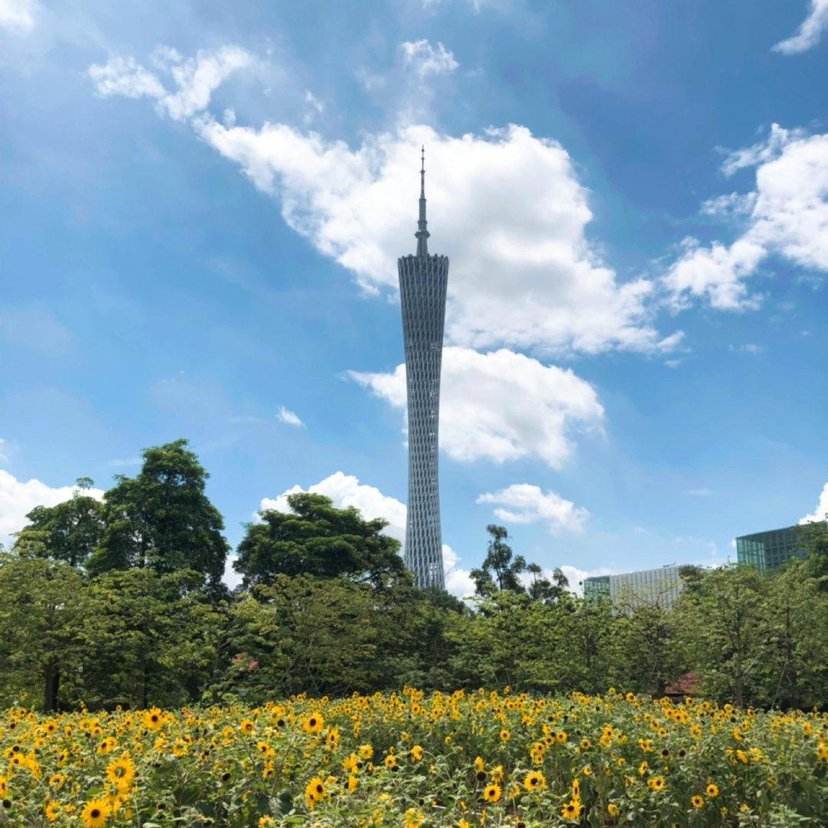 广州塔,景点,广州,旅游景点,门票