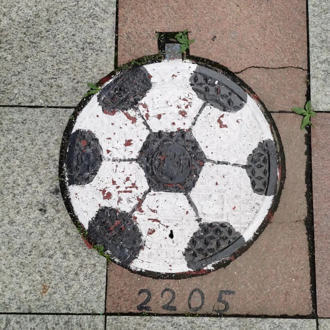 哈市这所省重点高中一大波创意井盖画来袭!