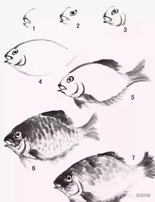 怎样画鱼:国画鱼的几种国画技法,步骤详细,难得好资料