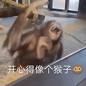 沙雕系列表情包