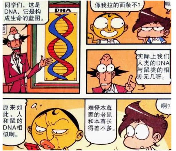 星太奇 奋豆基因与老鼠 同源家族 难道奋豆祖先是 老鼠 看点快报