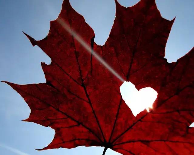 微信精选语句：天在下雨,我又想你(图10)