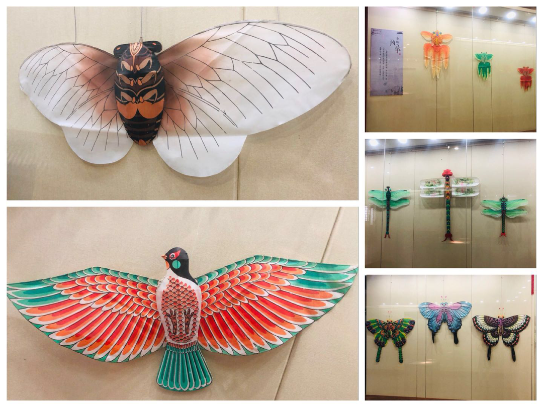 这里有你想要的风筝吗