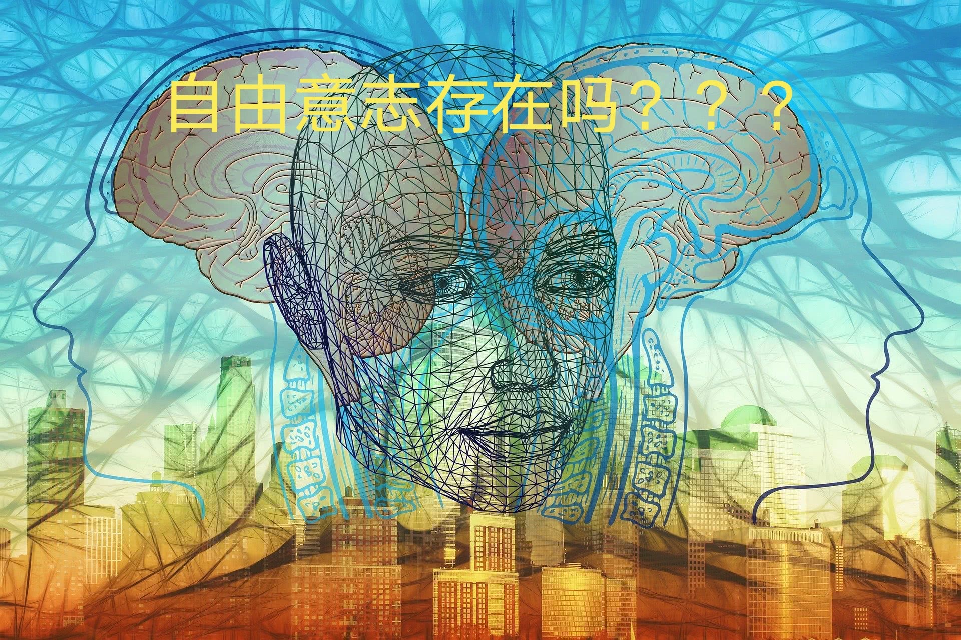 科学解读 如果自由意志不存在 人是否应该为过错承担责任 看点快报