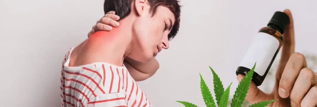 腰疼 腿疼 脖子疼 后背疼 是时候用大麻拯救自己了 看点快报