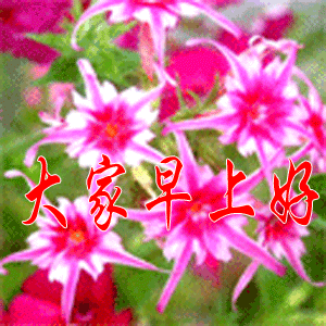 早上好祝福语表情包 早上好问候语带动态图片