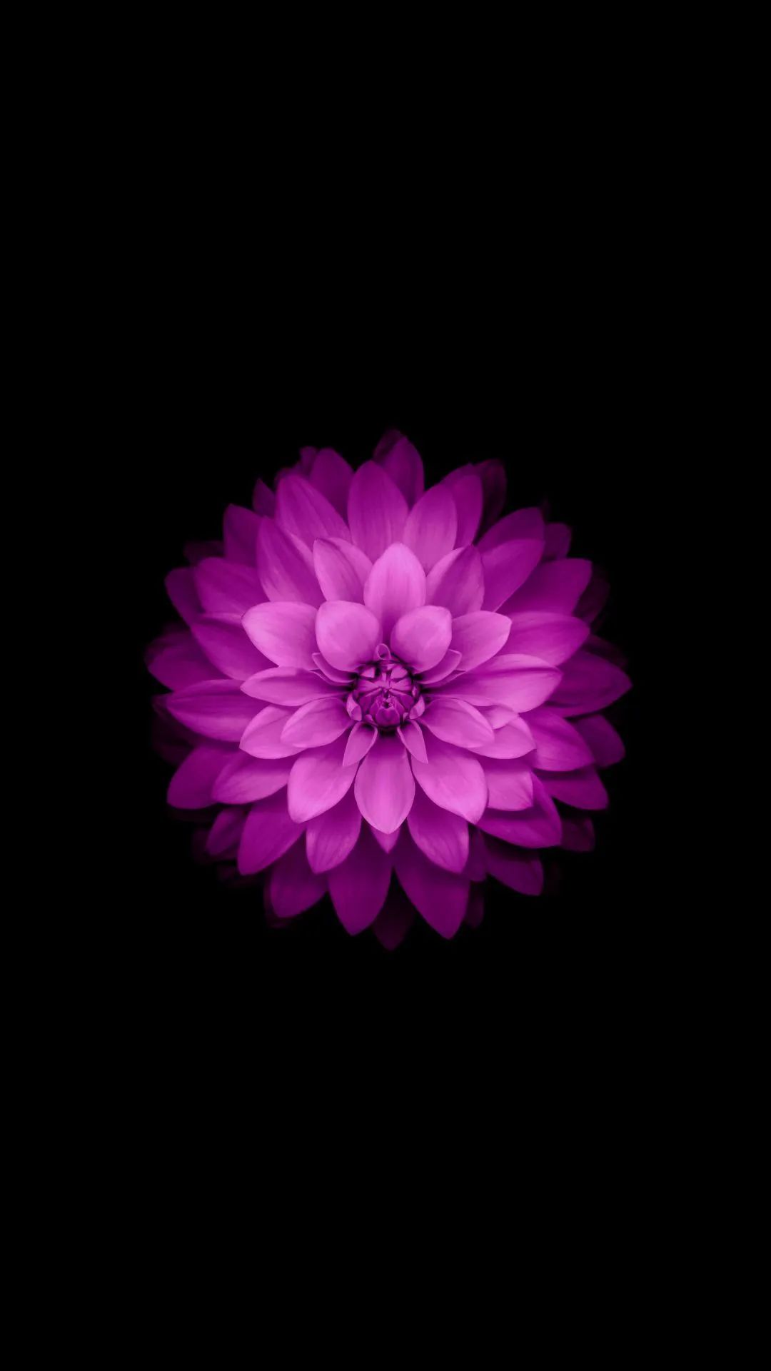 地表最全苹果壁纸,涵盖iphone,ipad,imac,macbook系列