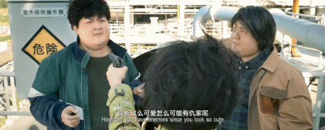 这条女喜剧人的走红之路,贾玲,马丽走了16年,金靖走了6年,辣目洋子走