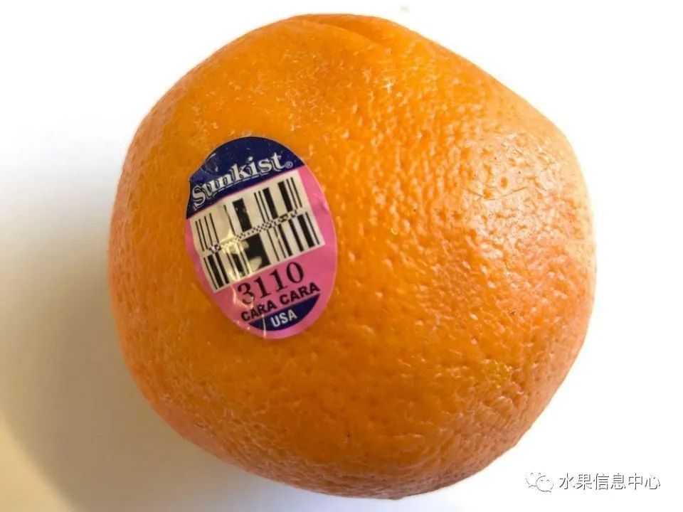 19种进口橙子知识大全