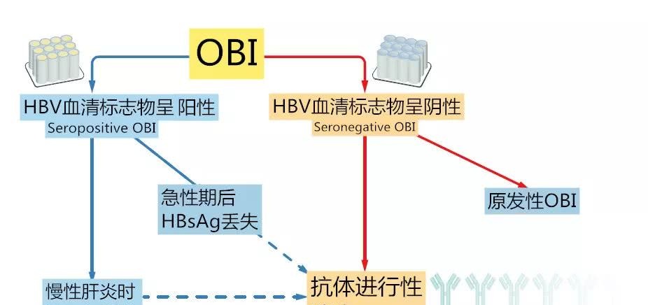 揭开 幽冥 杀手真面目 隐匿性hbv感染全解 看点快报
