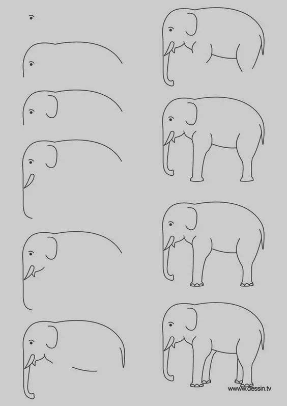 动物简笔画大全 | 简笔画大象的画法步骤