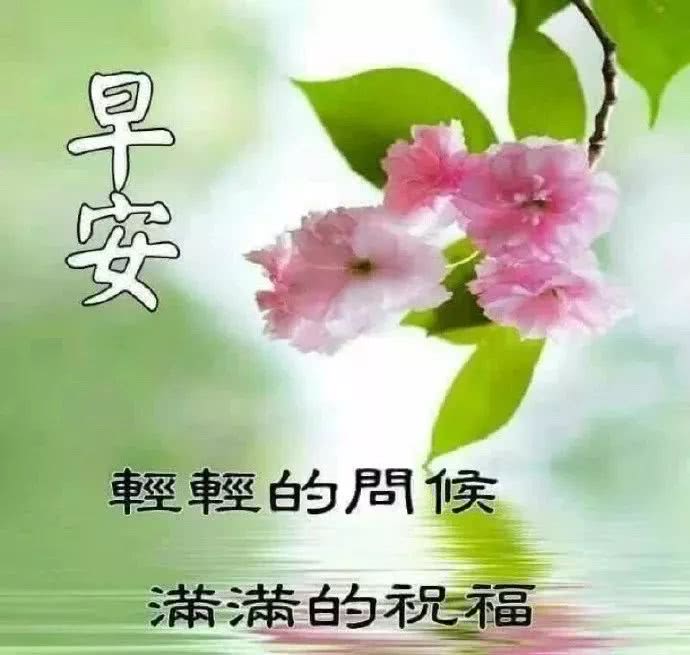 2月24日 二月二清晨早安问候动态表情图片 最美早上好