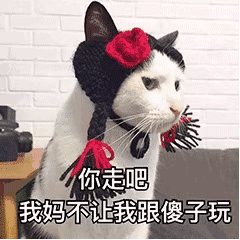 表情包:你走吧,我妈不让我跟傻子玩