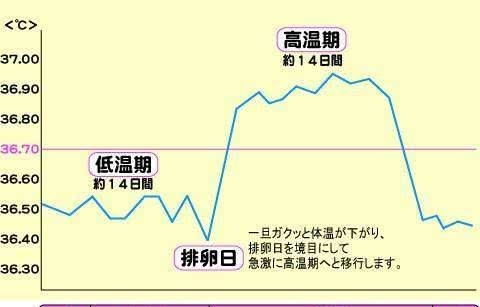 生理前高温期何日