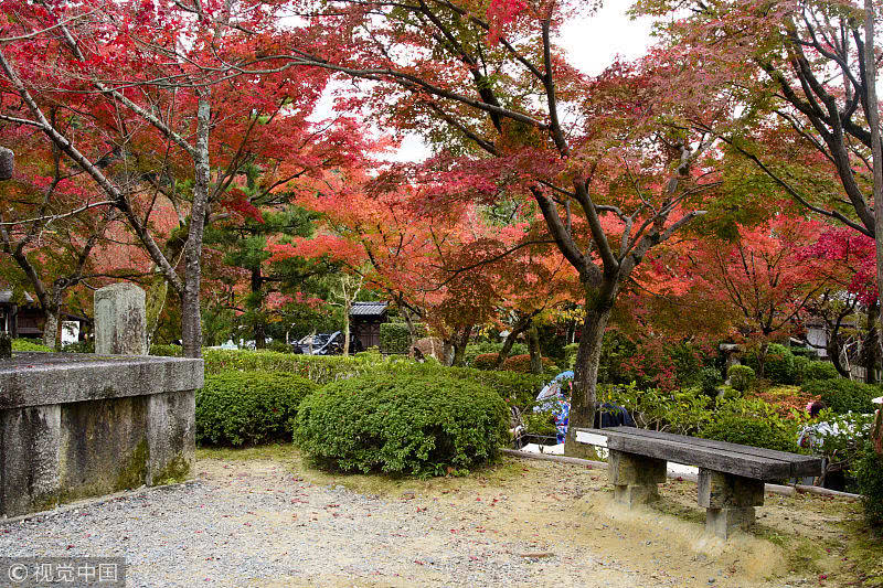 日本京都 清水寺在千年古刹看红叶飞舞 看点快报