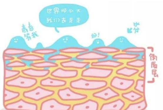 春夏交替之际 这3个护肤知识要记牢 看点快报