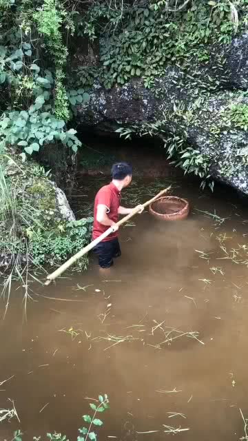 梦境解析，梦见哥哥与他人抽干水池，收获满载——寓意与象征的深度探索