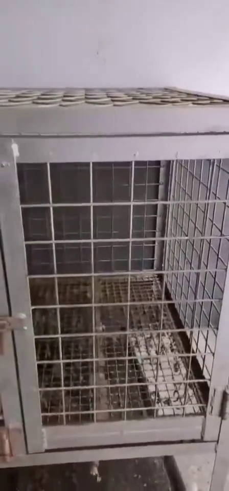 彩钢瓦恶搞视频，彩钢瓦的视频