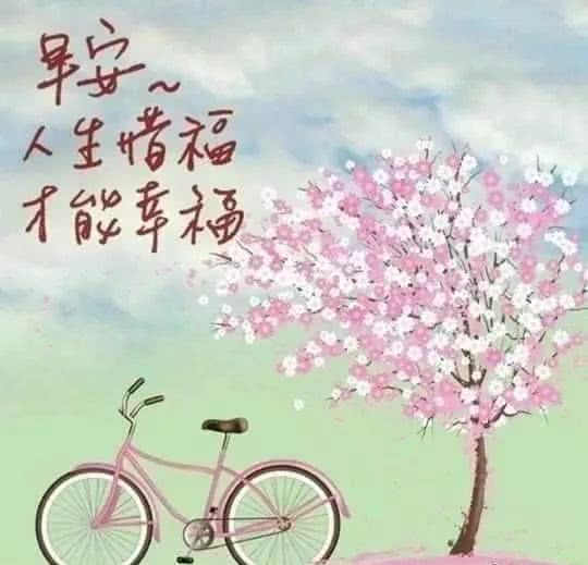 早安正能量问候暖心话,朋友圈很漂亮的早安问候祝福语