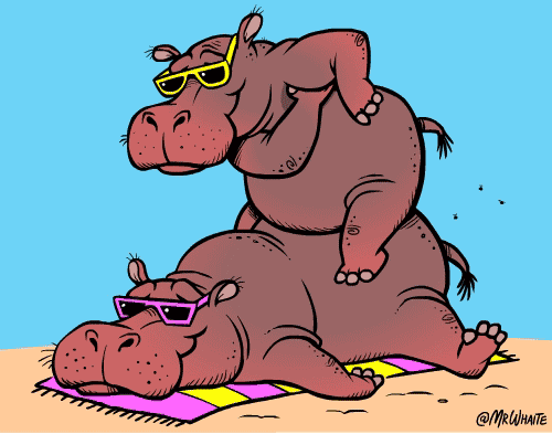 可爱有趣的的动物冷知识,gif配图真是没谁了