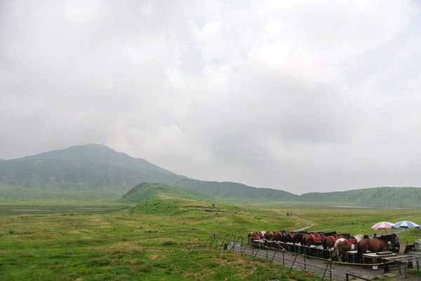 日本小资目的地打卡指南 看点快报