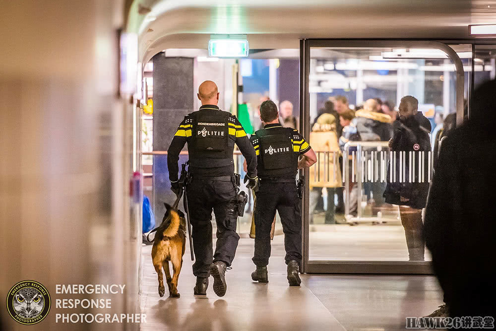 直击荷兰警方执法现场 特警手持hk416步枪火车站内抓捕通缉犯 看点快报