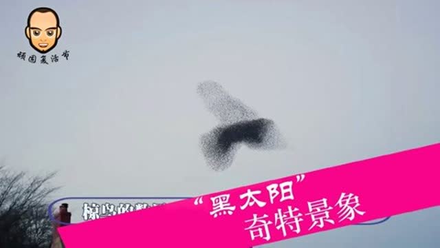 0?fmt=jpg&size=15&h=360&w=640&ppv=1