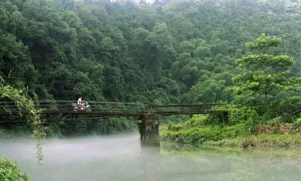 安福,安福县,森林,泰山乡,彭坊乡,章庄乡,洋溪镇,石溪村