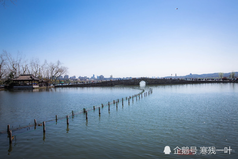 杭州西湖 为何他们在人最多的断桥上放风筝 游客 太爱炫耀了 看点快报