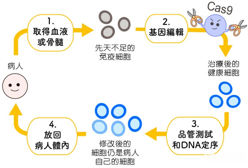 人体基因编辑是在编什么 5分钟搞懂基因神剪crispr 看点快报