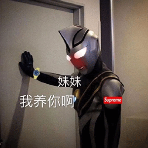 小乌龟