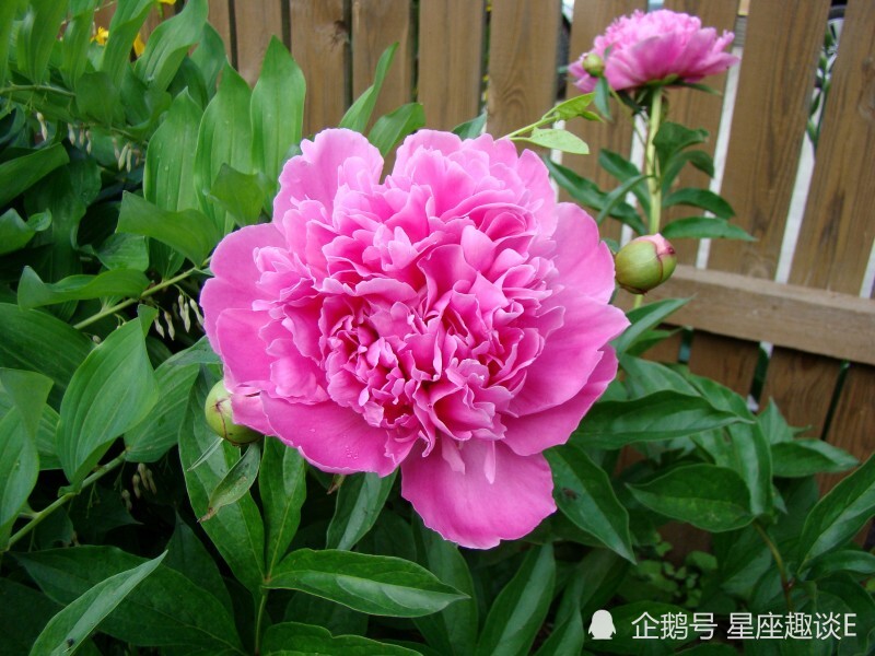 8月25日星座运势 双子斗志昂扬 天蝎迎接挑战 射手提高警惕 天天要闻