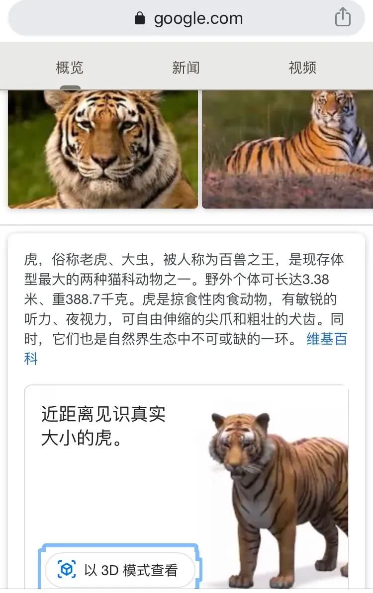 谷歌裸眼 3d动物 意外蹿红 掀起一股ar体验小高潮 看点快报
