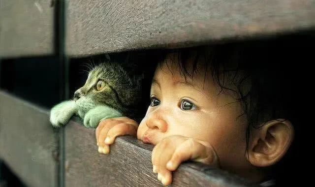 禁食猫狗 是伪善吗 看点快报