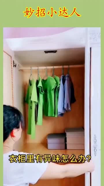 衣柜里的味道怎么去除，衣柜里的味道怎么去除小妙招-第3张图片-朋成家居生活_生活家