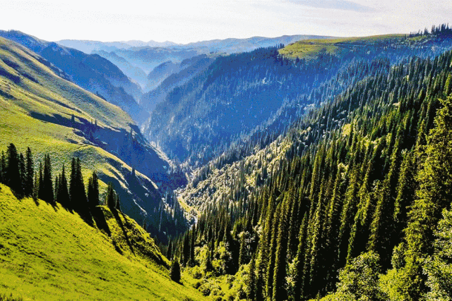 独库公路,天山,乔尔玛,巴音布鲁克大草原,那拉提