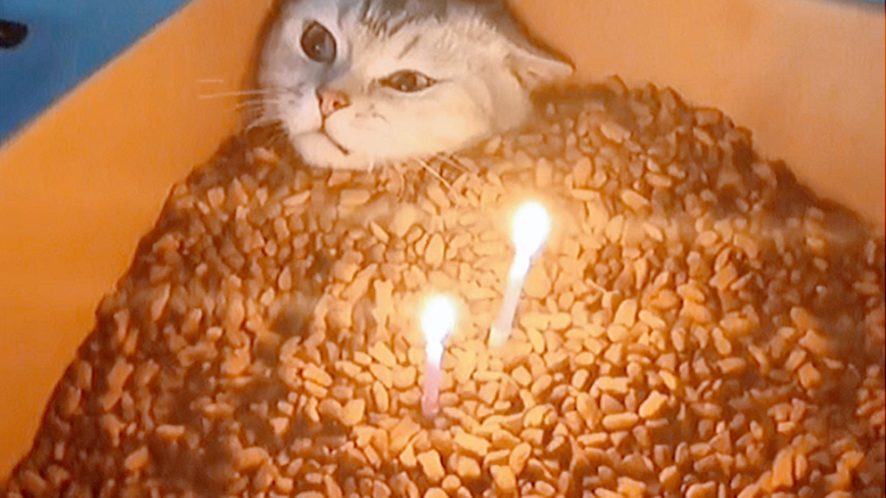 0