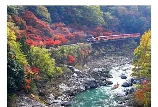 岚山保津峡游船看尽两岸层林浸染的红叶风光 游动的新体验 看点快报