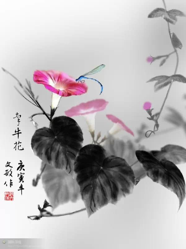 牵牛花,国画