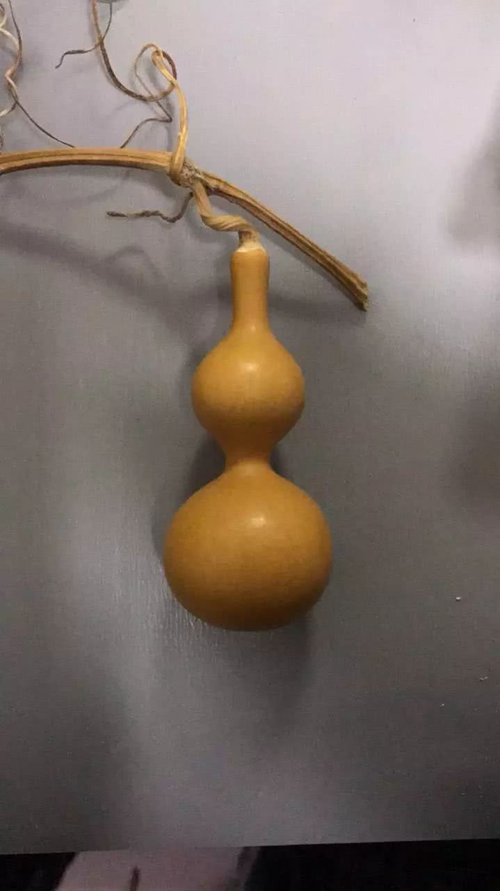 葫芦的
