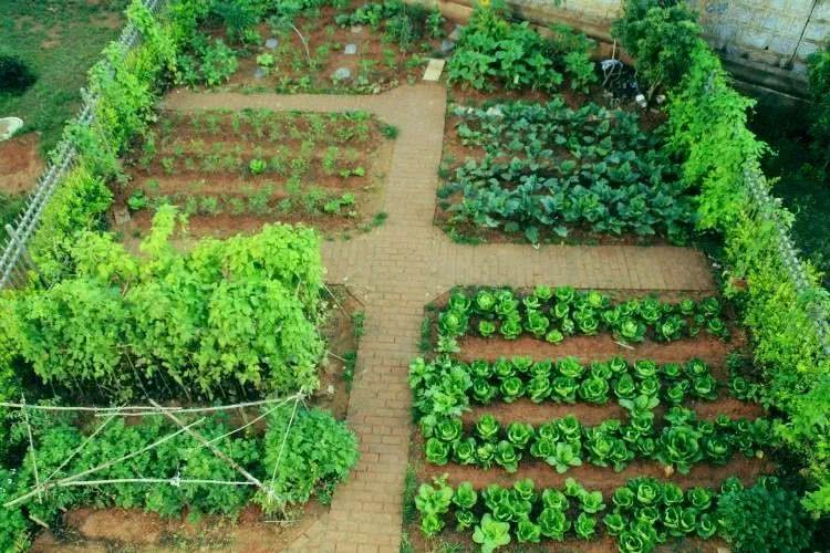 后半生 寻一处小院 退出江湖 看点快报