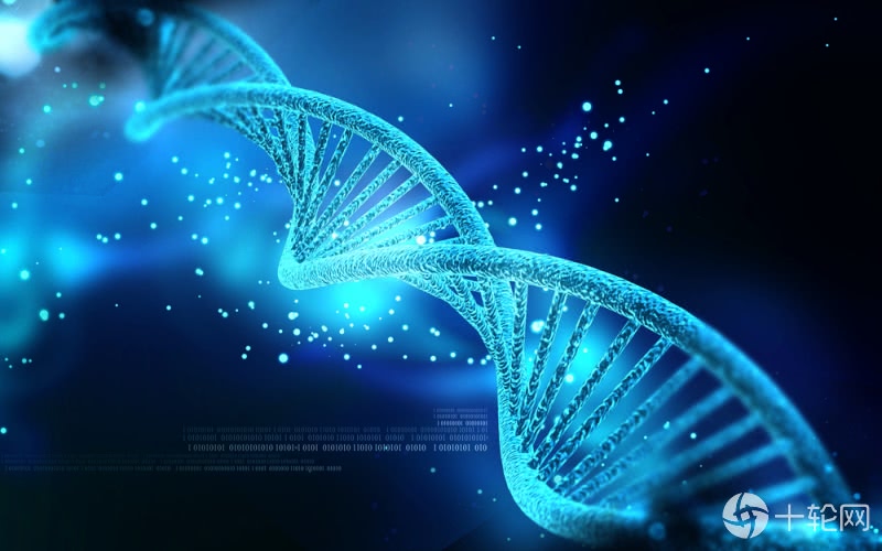 人体基因编辑是在编什么 5分钟搞懂基因神剪crispr 看点快报